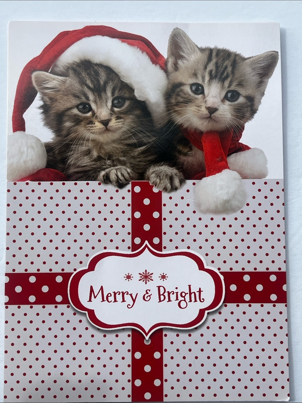 Holiday 'Merry & Bright' Christmas Card